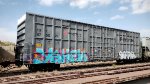 FXE 875061